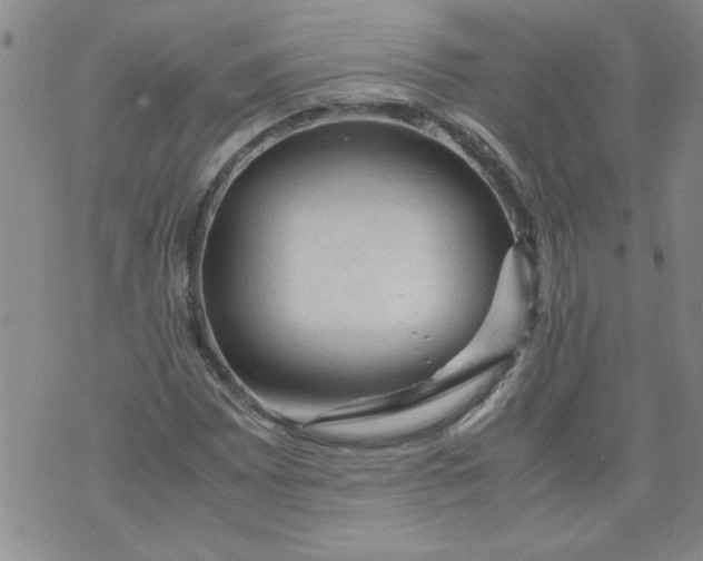 X0000072551065200608041642