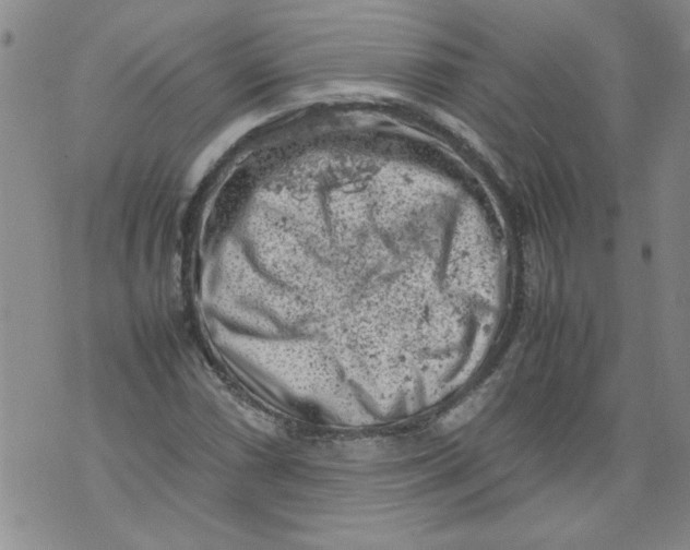 X0000072551066200608041642