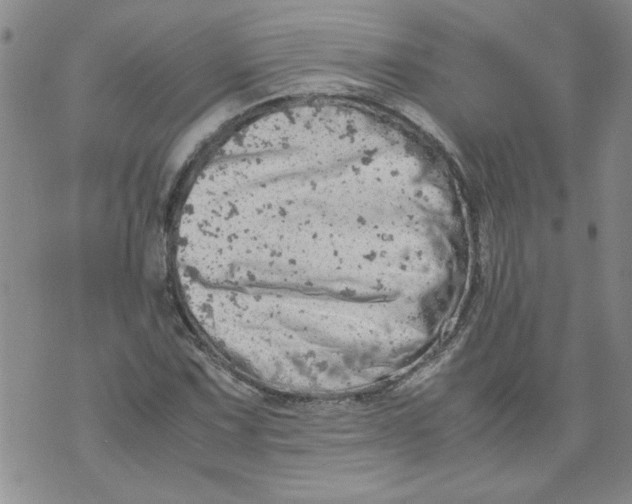 X0000072551067200608041642