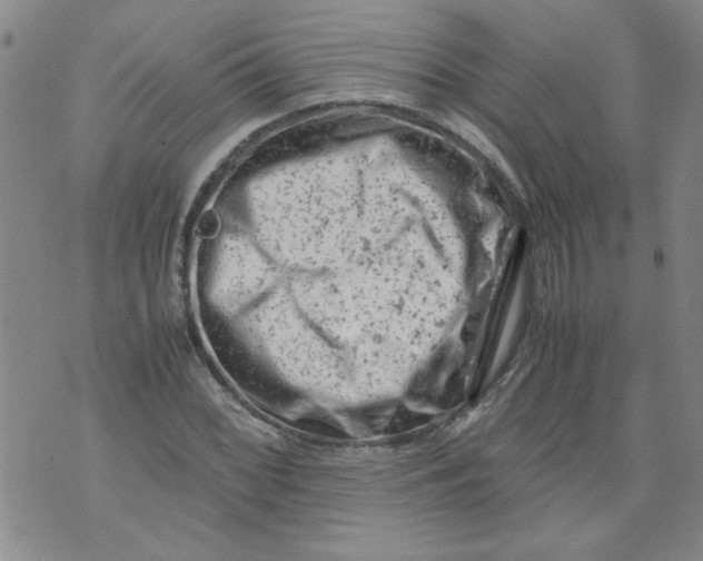 X0000072551068200608041642