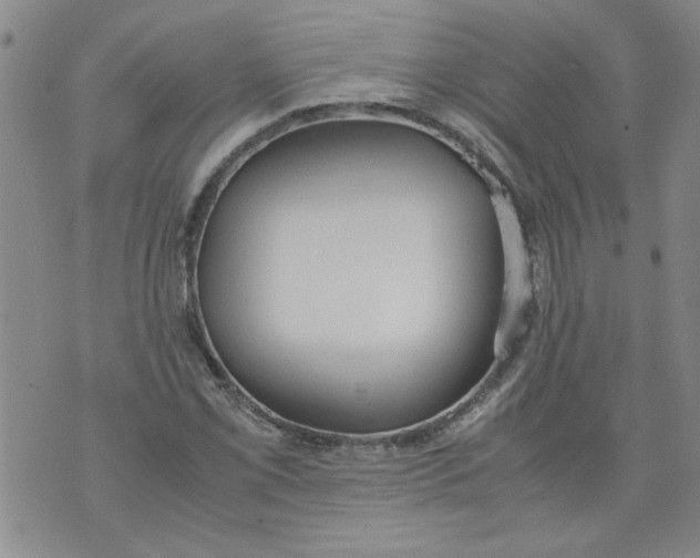 X0000072551069200608041642