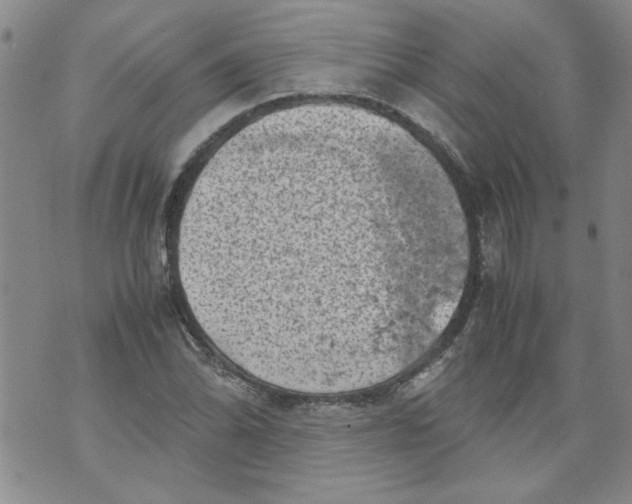 X0000072551070200608041642