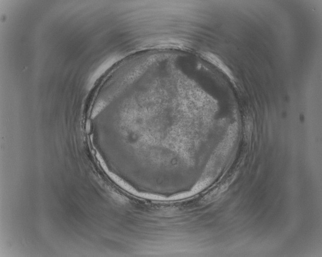 X0000072551071200608041642