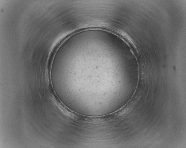 X0000072551072200608041642