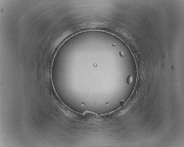 X0000072551073200608041642