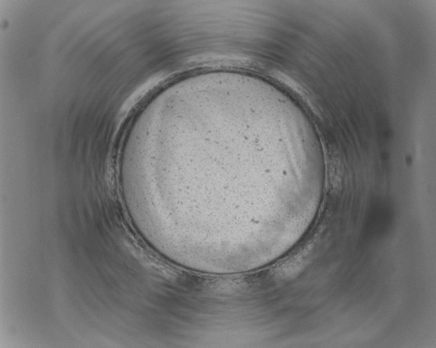 X0000072551074200608041642