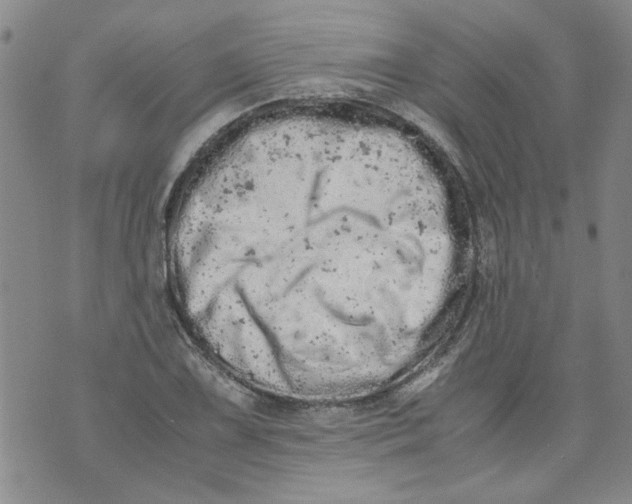 X0000072551075200608041642