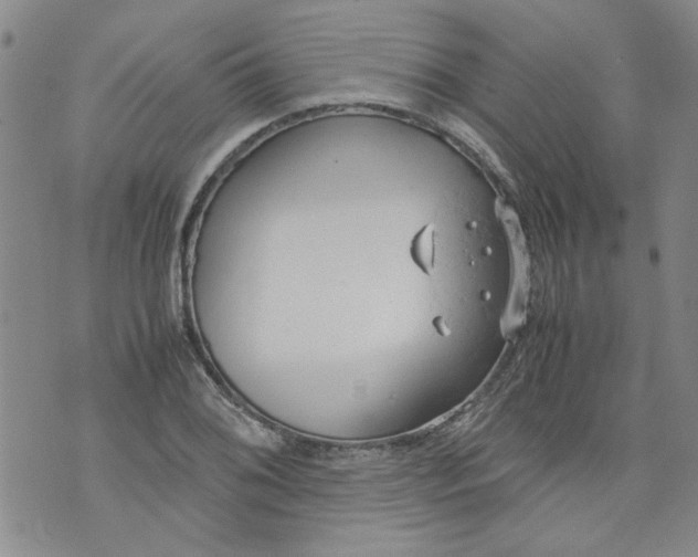 X0000072551076200608041642