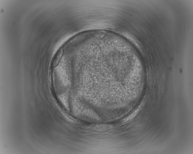 X0000072551077200608041642