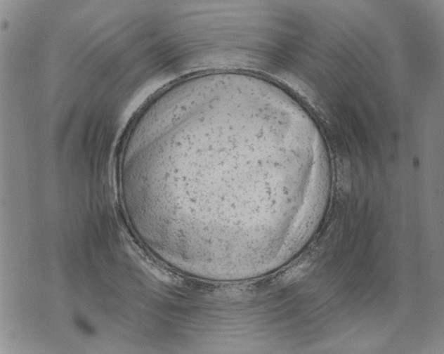 X0000072551078200608041642