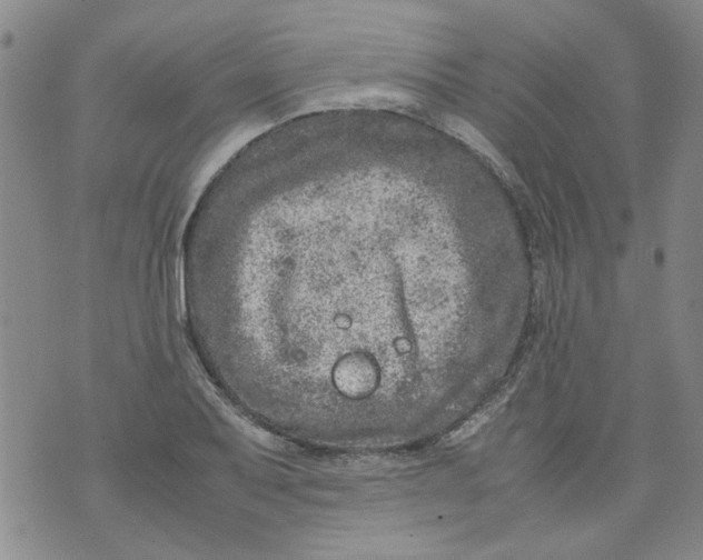 X0000072551079200608041642