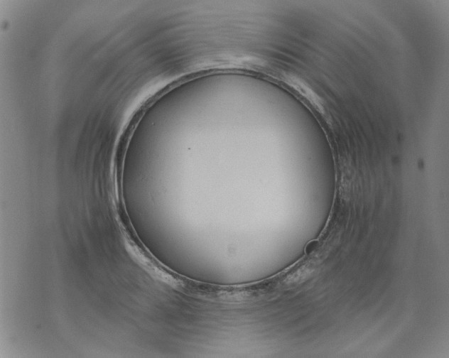 X0000072551080200608041642