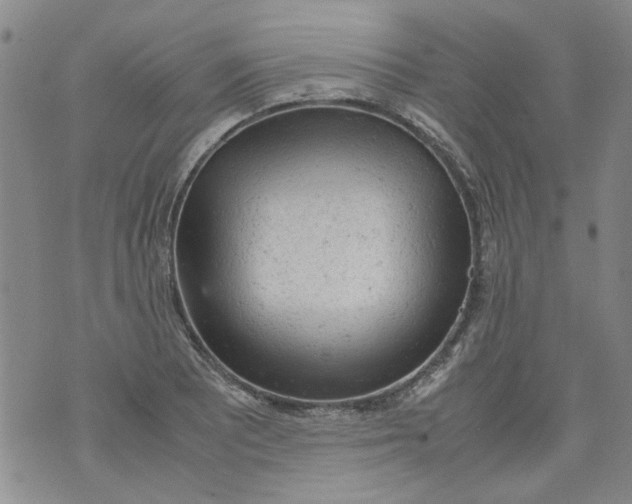 X0000072551081200608041642