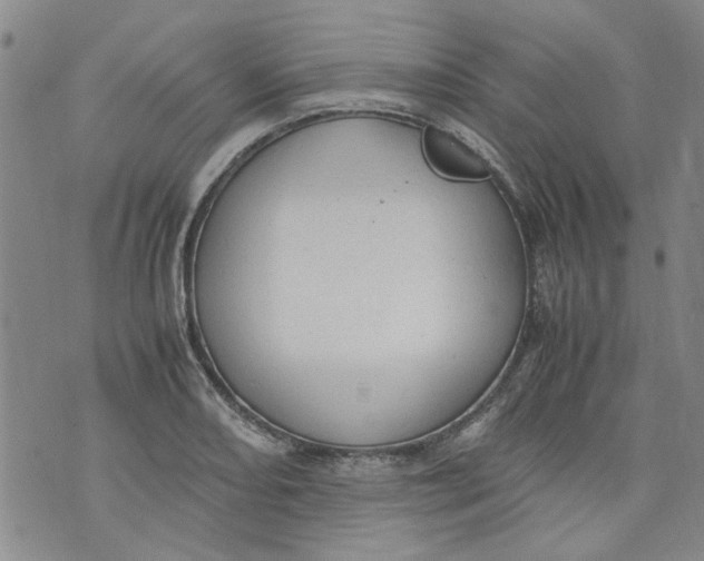 X0000072551082200608041642