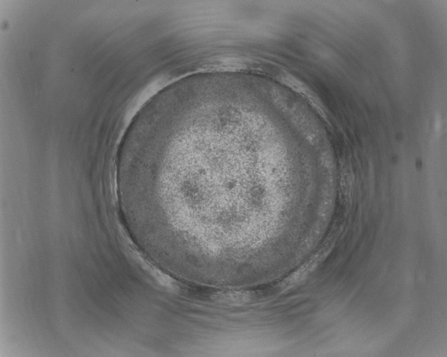 X0000072551083200608041642