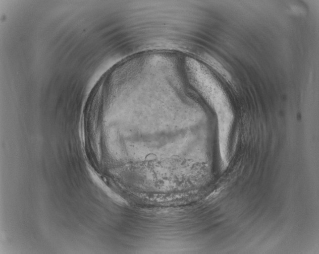 X0000072551084200608041642