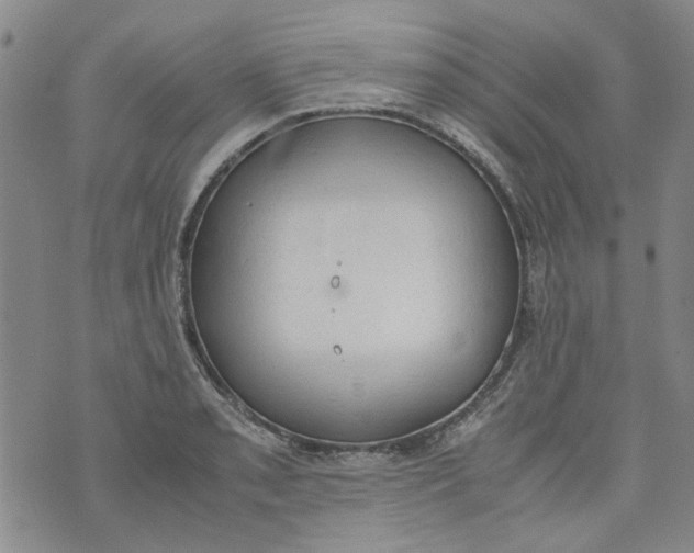 X0000072551085200608041642