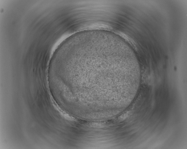 X0000072551086200608041642