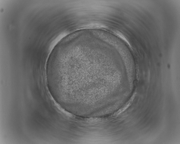 X0000072551087200608041642