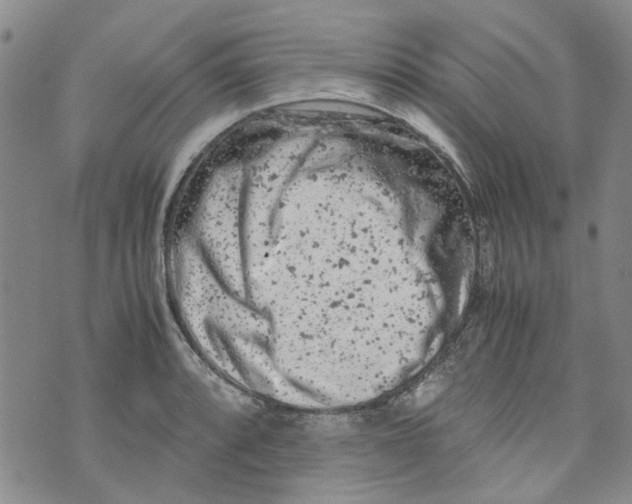 X0000072551088200608041642