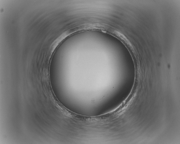 X0000072551089200608041642