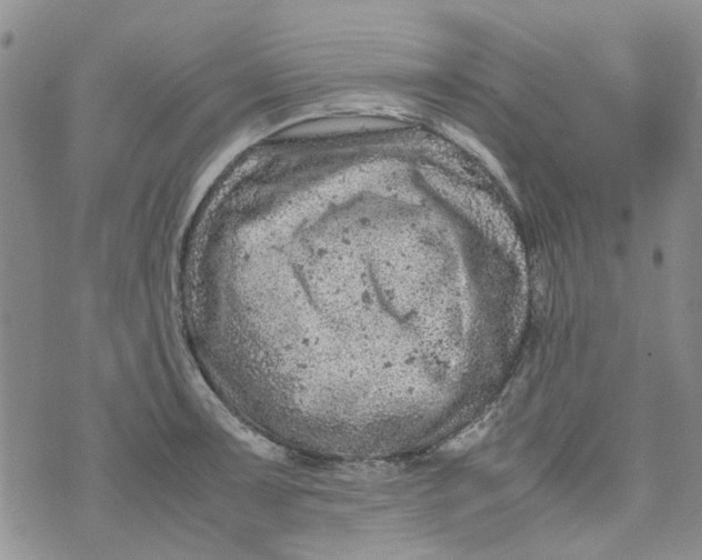 X0000072551091200608041642