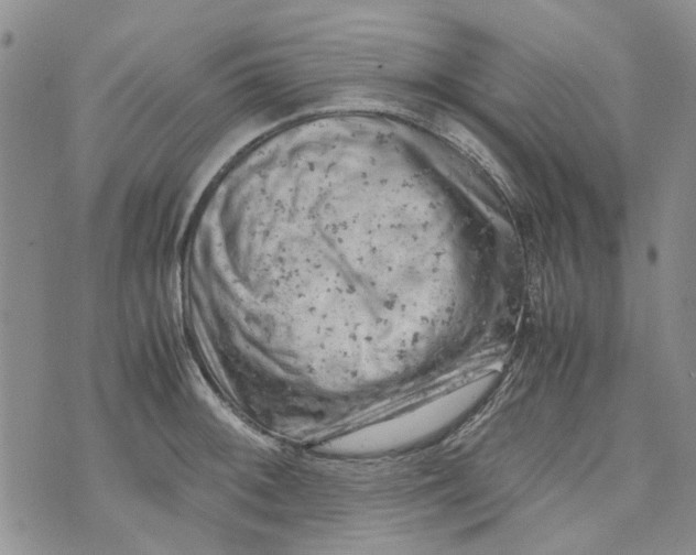 X0000072551092200608041642