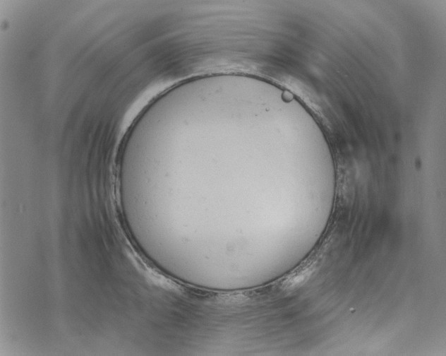 X0000072551094200608041642