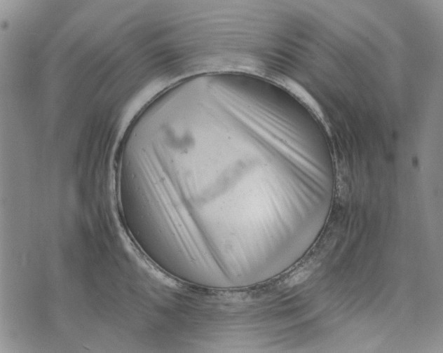 X0000072551096200608041642