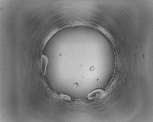 X0000072551097200608041642