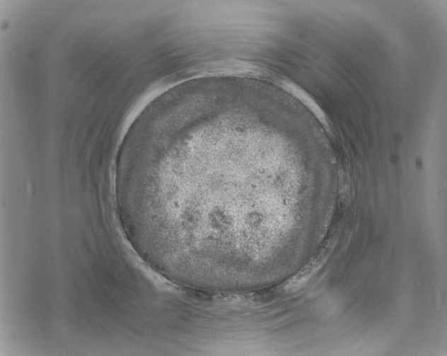 X0000072551099200608041642