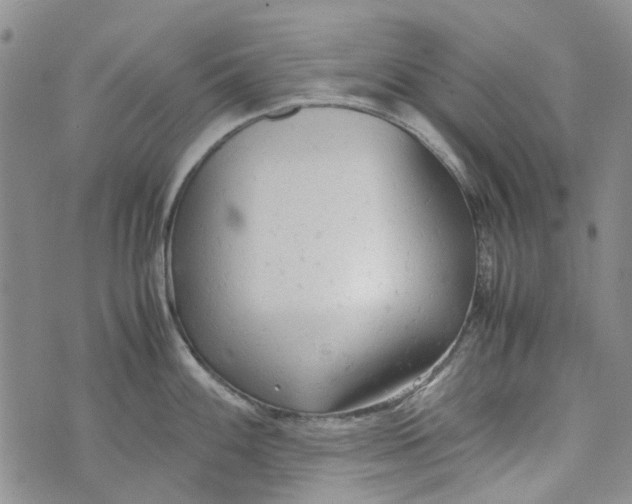 X0000072551100200608041642