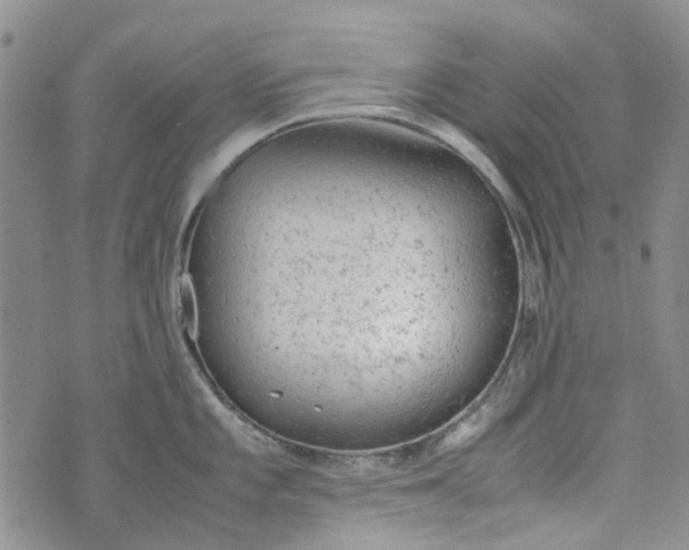 X0000072551101200608041642