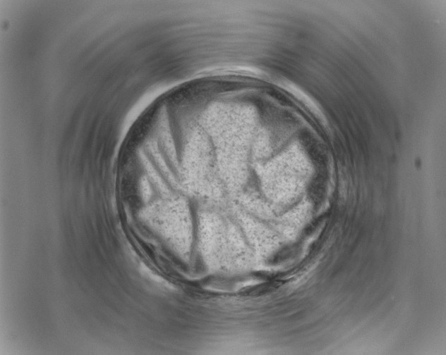 X0000072551102200608041642