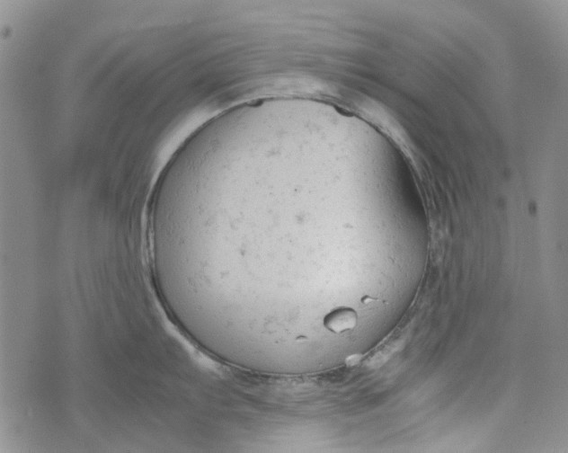 X0000072551103200608041642