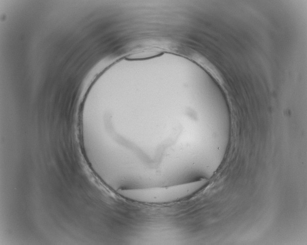 X0000072551104200608041642