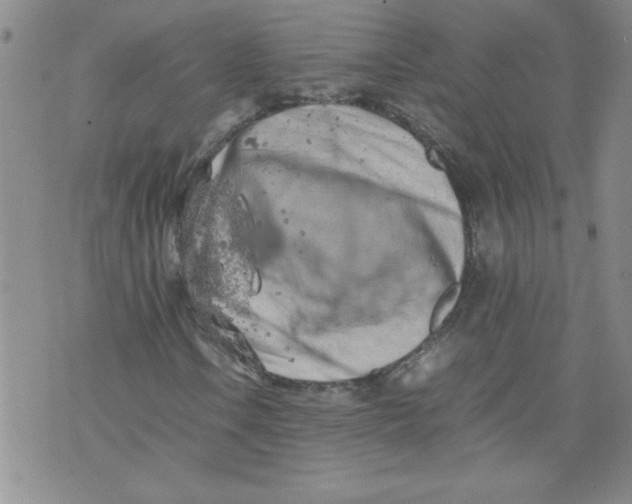 X0000072551106200608041641