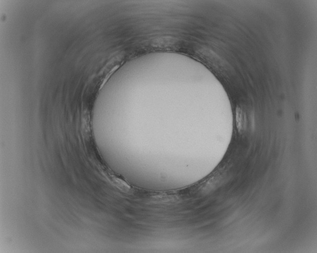 X0000072551107200608041641