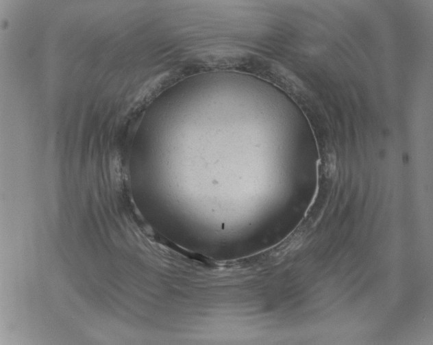 X0000072551108200608041641