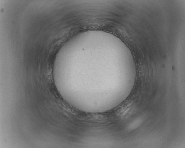 X0000072551109200608041641