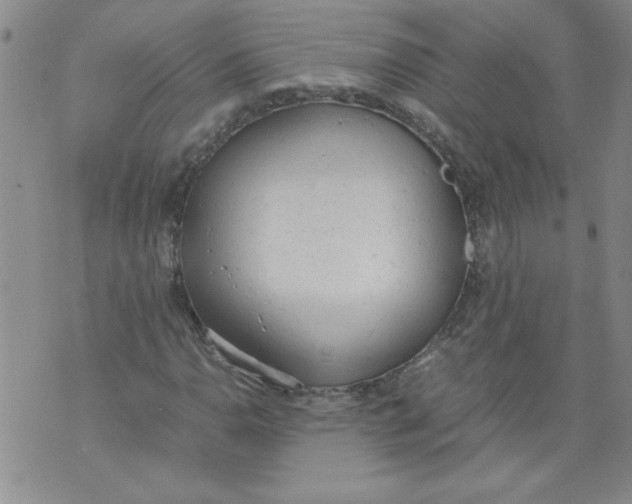 X0000072551110200608041641