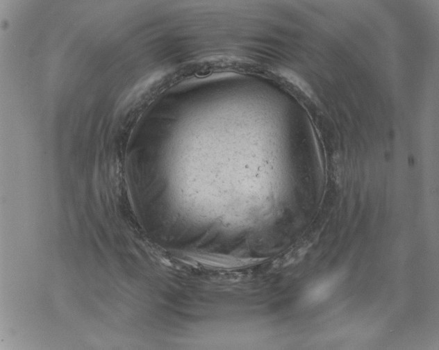 X0000072551111200608041641