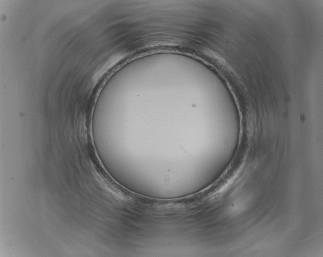 X0000072551113200608041641