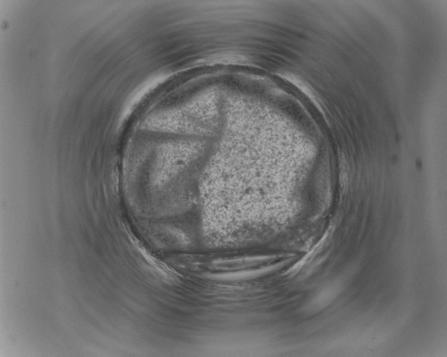 X0000072551115200608041641