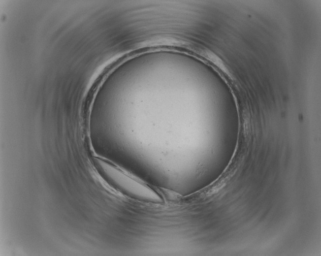 X0000072551116200608041641