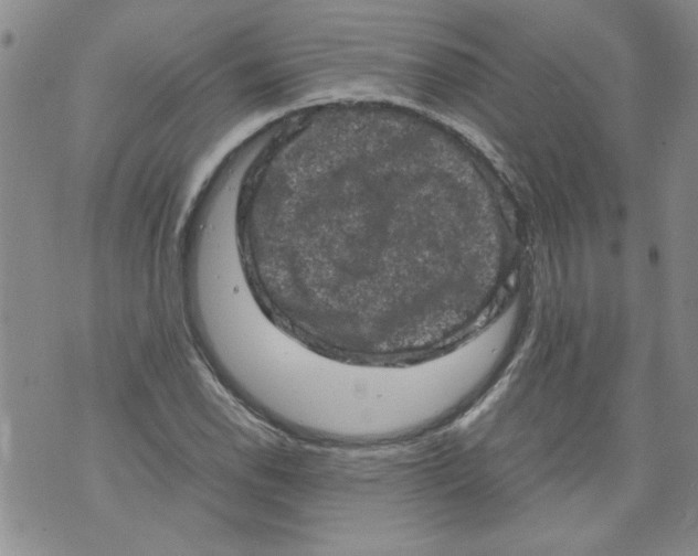 X0000072551118200608041641