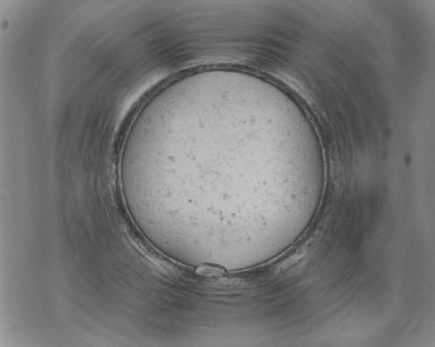 X0000072551119200608041641