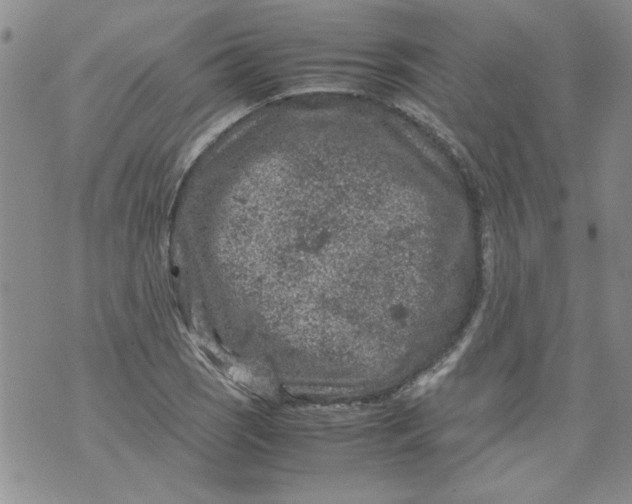 X0000072551121200608041641