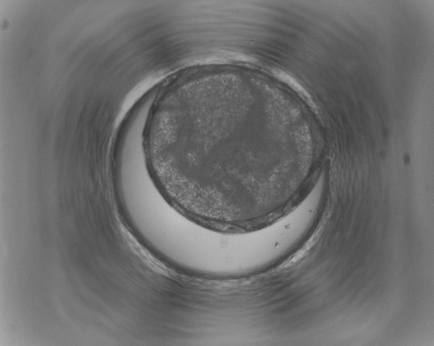 X0000072551122200608041641