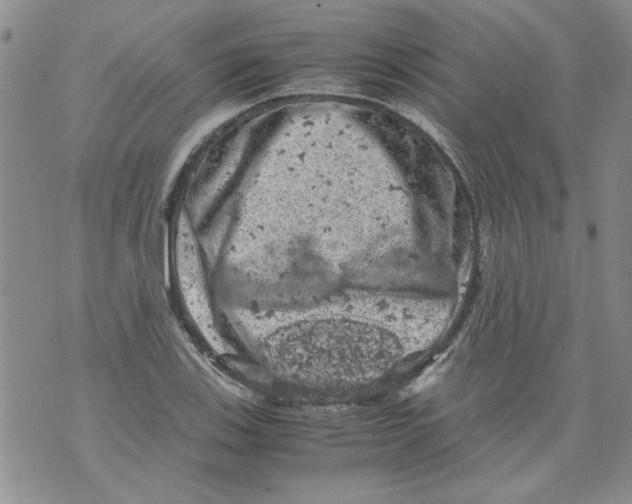 X0000072551123200608041641